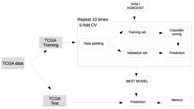 PMC6827166 – cancers-11-01562-f0A5