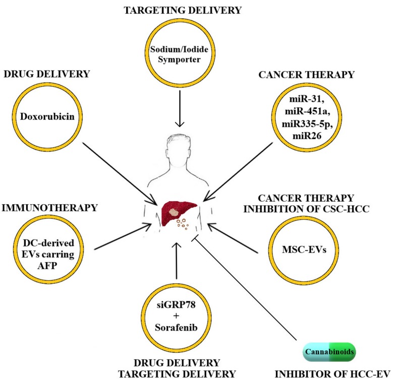 PMC7072503 – cancers-12-00261-f001