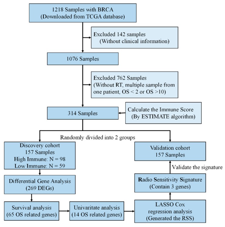 PMC7226004 – cancers-12-00957-f005