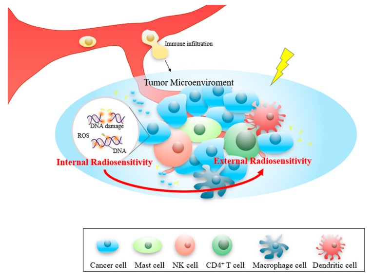 PMC7226004 – cancers-12-00957-f007