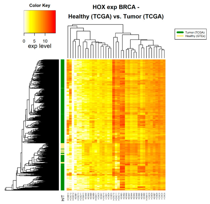 PMC7352544 – cancers-12-01572-f001