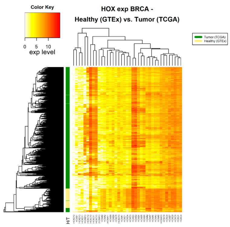 PMC7352544 – cancers-12-01572-f002