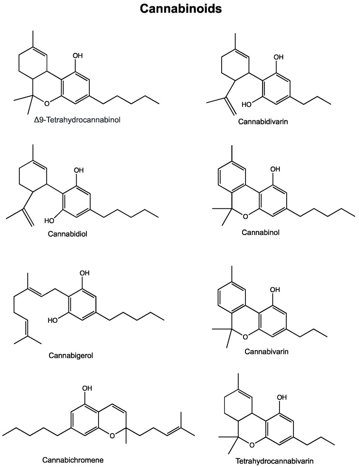 PMC7409346 – cancers-12-01985-f001
