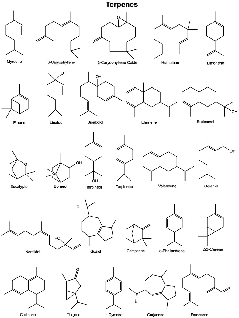 PMC7409346 – cancers-12-01985-f002