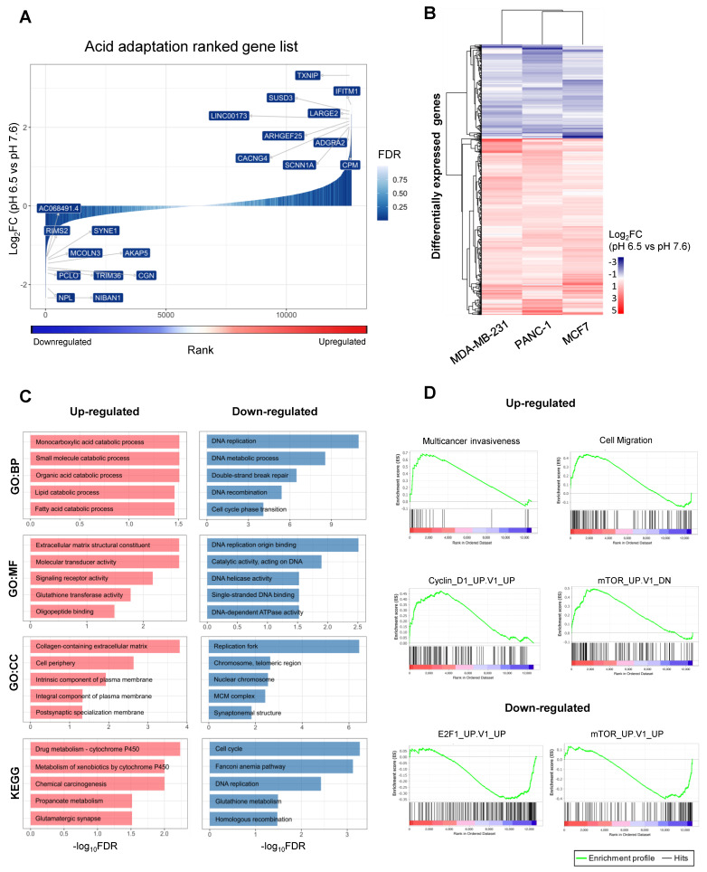 PMC7463722 – cancers-12-02183-f002