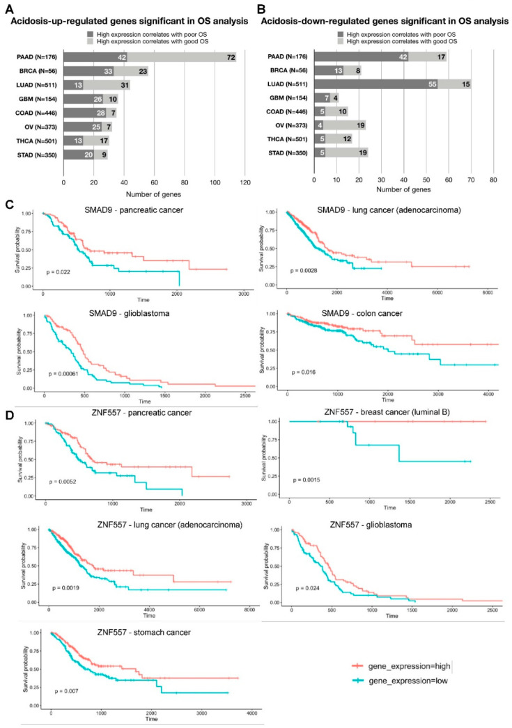 PMC7463722 – cancers-12-02183-f003