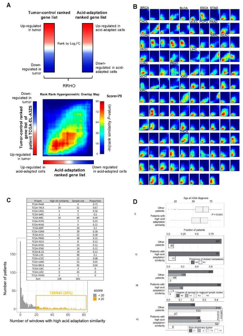 PMC7463722 – cancers-12-02183-f004