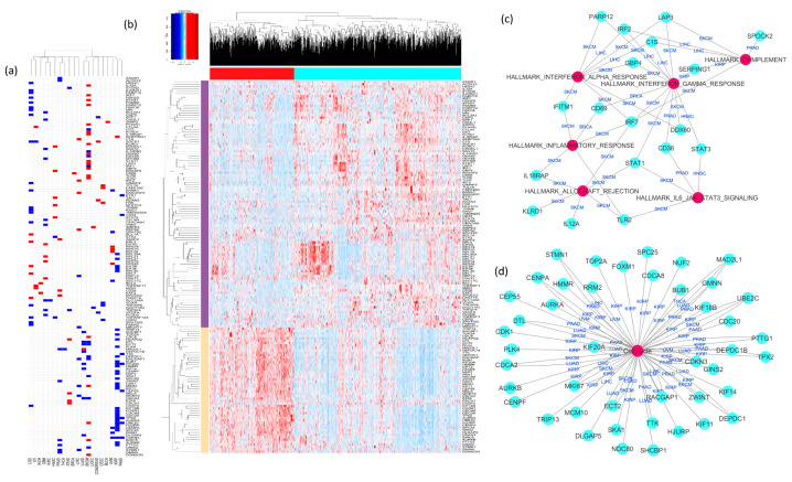 PMC7563367 – cancers-12-02476-f003