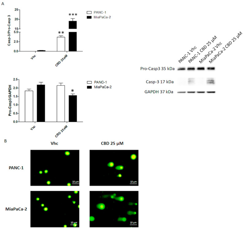 PMC7600087 – cancers-12-02774-f003