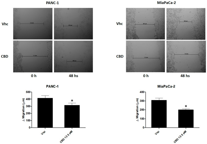 PMC7600087 – cancers-12-02774-f004