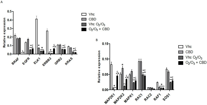 PMC7600087 – cancers-12-02774-f011