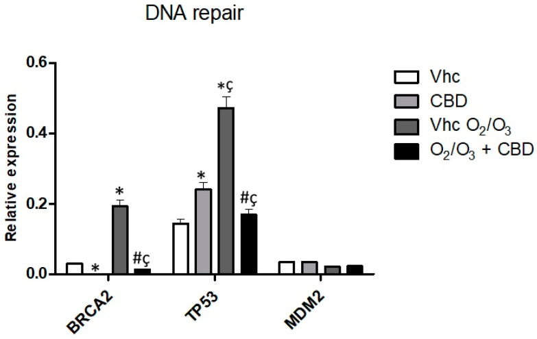 PMC7600087 – cancers-12-02774-f012