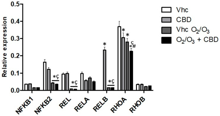 PMC7600087 – cancers-12-02774-f013