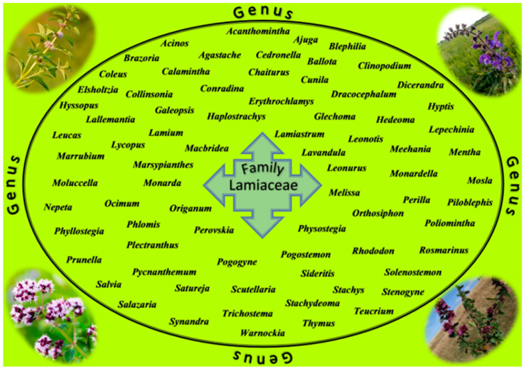 PMC7601952 – cancers-12-02957-f001