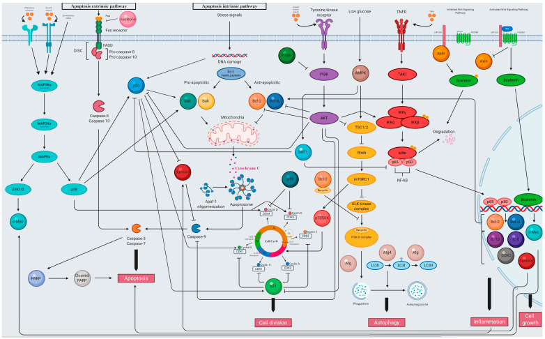 PMC7601952 – cancers-12-02957-f002