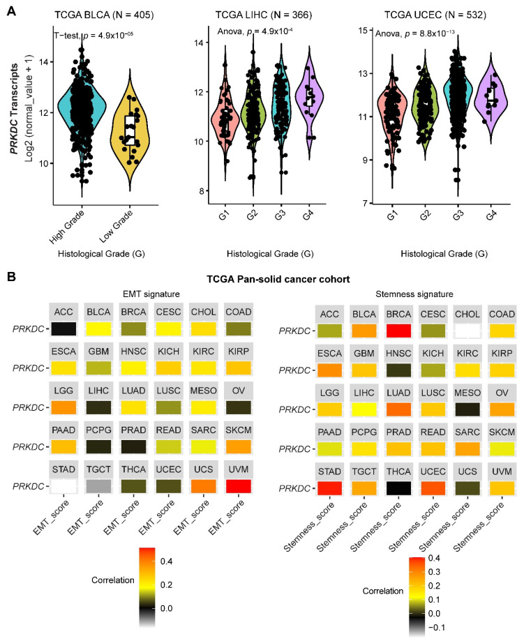 PMC7698146 – cancers-12-03389-f002