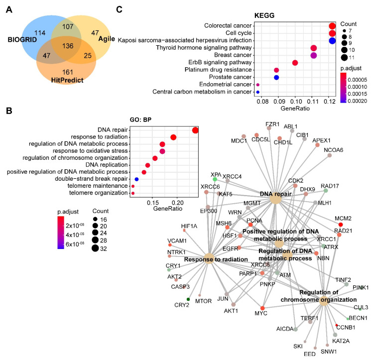 PMC7698146 – cancers-12-03389-f004