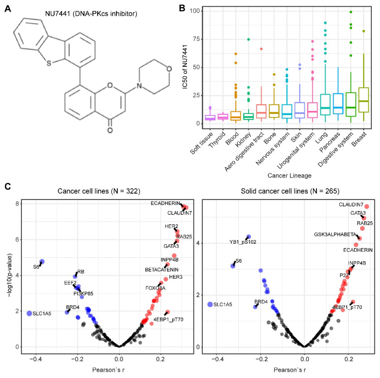 PMC7698146 – cancers-12-03389-f005