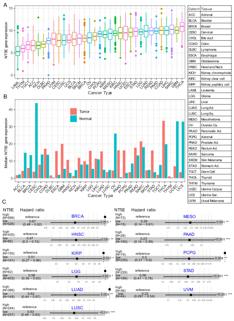 PMC7825701 – cancers-13-00177-f001