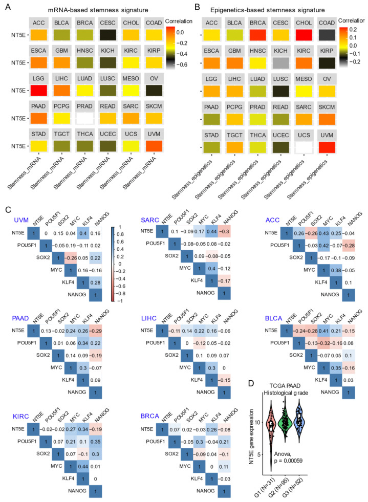 PMC7825701 – cancers-13-00177-f002