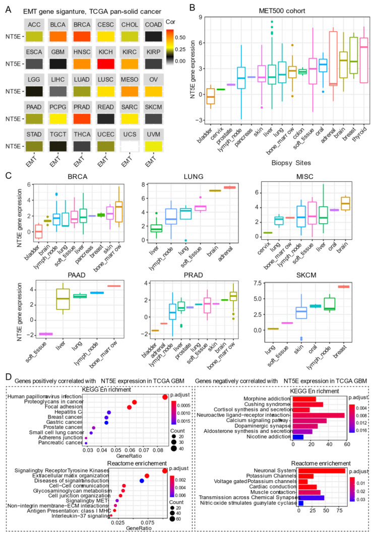 PMC7825701 – cancers-13-00177-f003