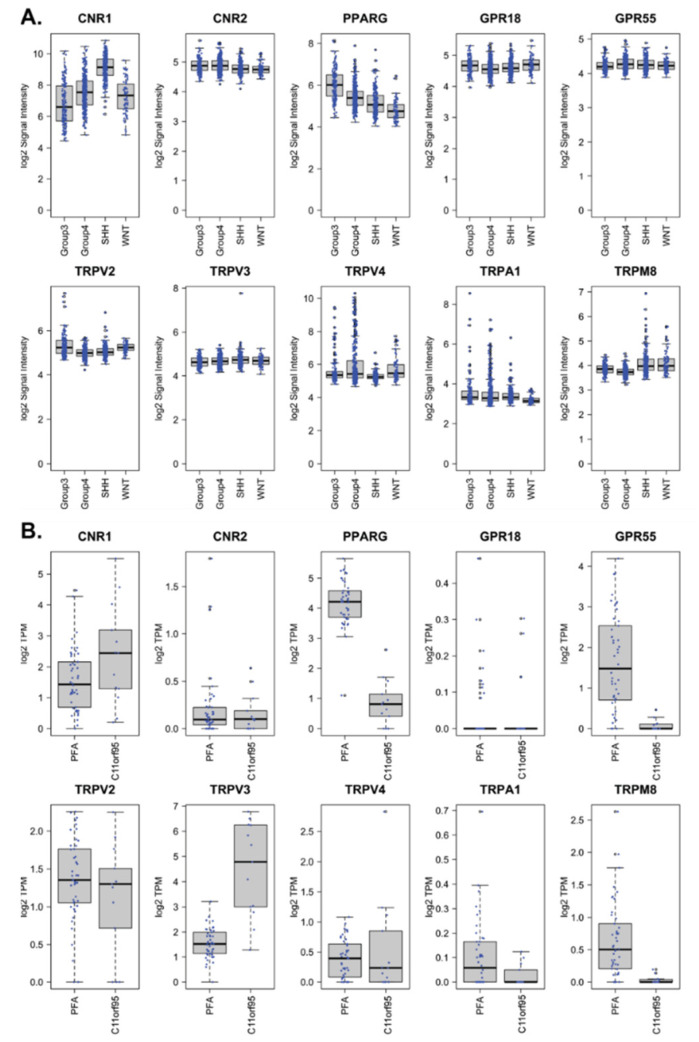 PMC7829707 – cancers-13-00330-f001