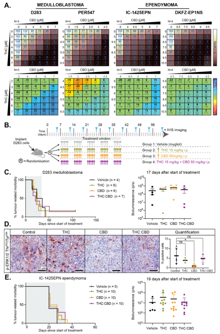 PMC7829707 – cancers-13-00330-f005