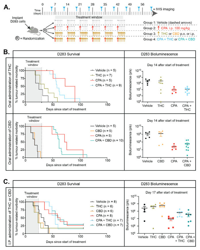 PMC7829707 – cancers-13-00330-f008
