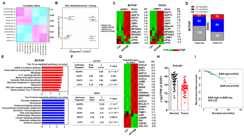 PMC7833439 – cancers-13-00351-f003