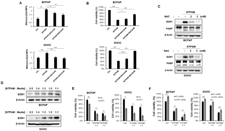 PMC7833439 – cancers-13-00351-f005