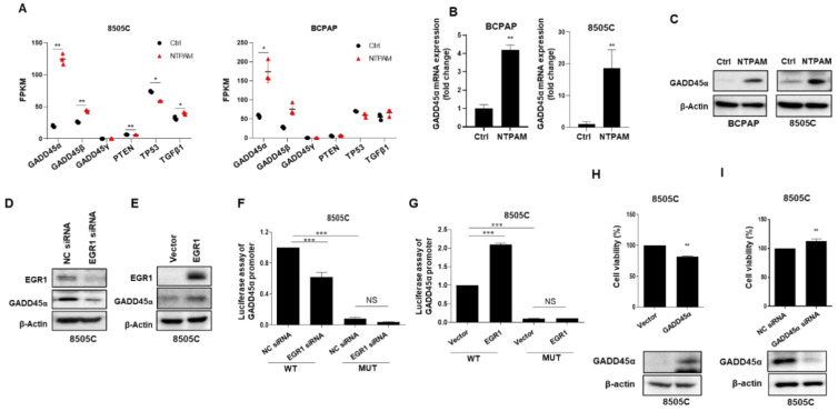 PMC7833439 – cancers-13-00351-f006