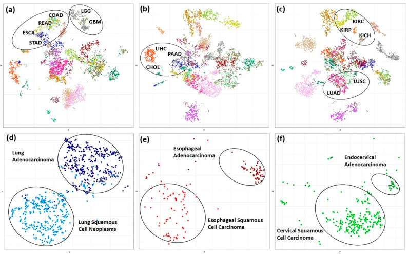 PMC8001681 – cancers-13-01189-f001