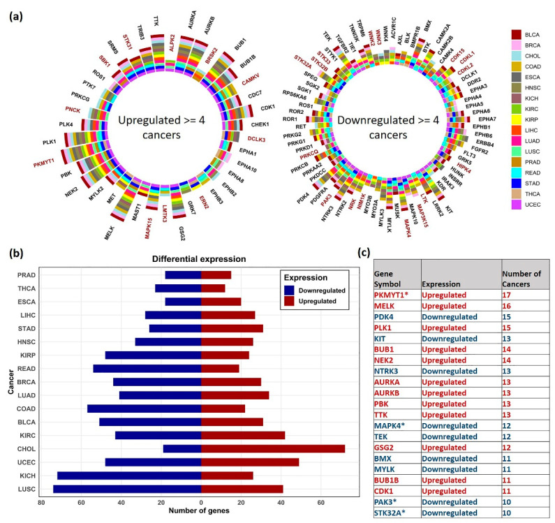 PMC8001681 – cancers-13-01189-f002
