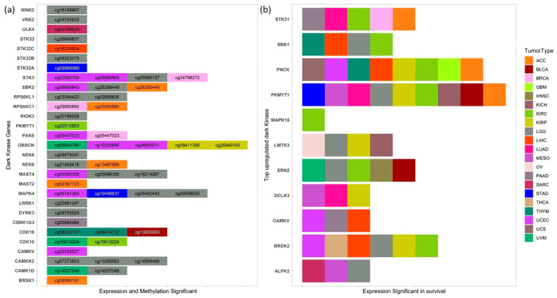 PMC8001681 – cancers-13-01189-f005