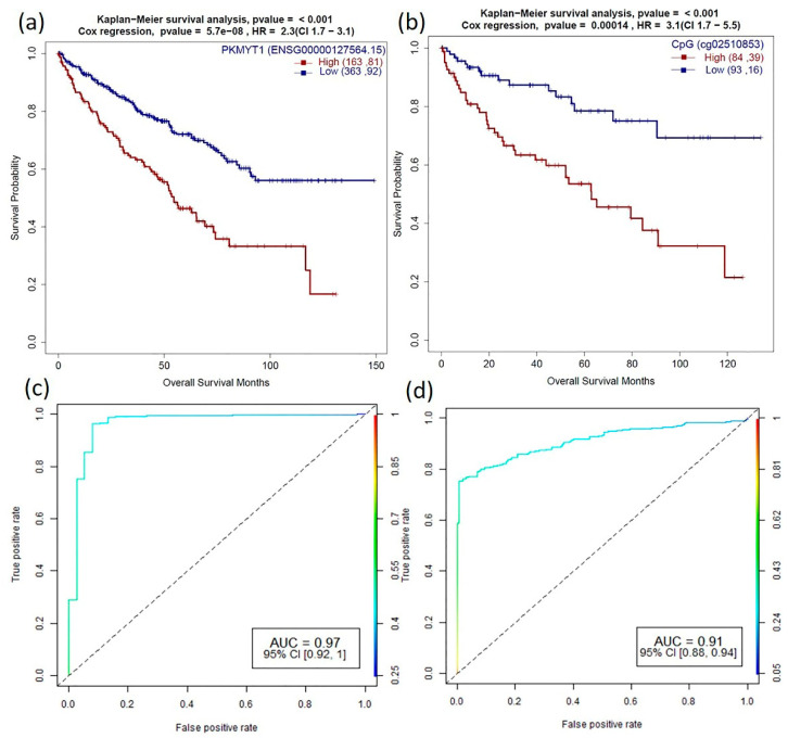 PMC8001681 – cancers-13-01189-f006