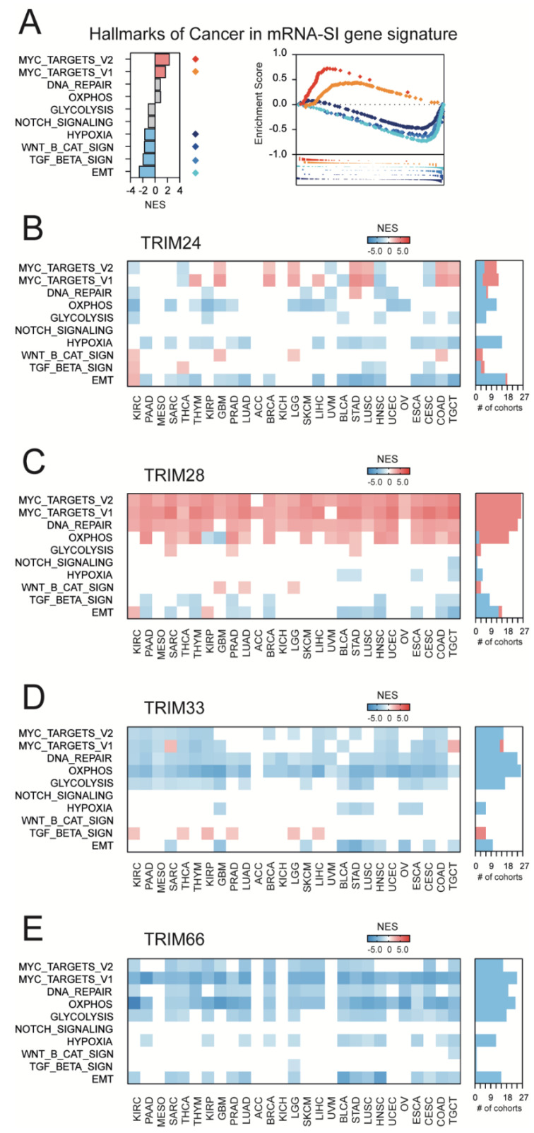 PMC8061774 – cancers-13-01528-f004
