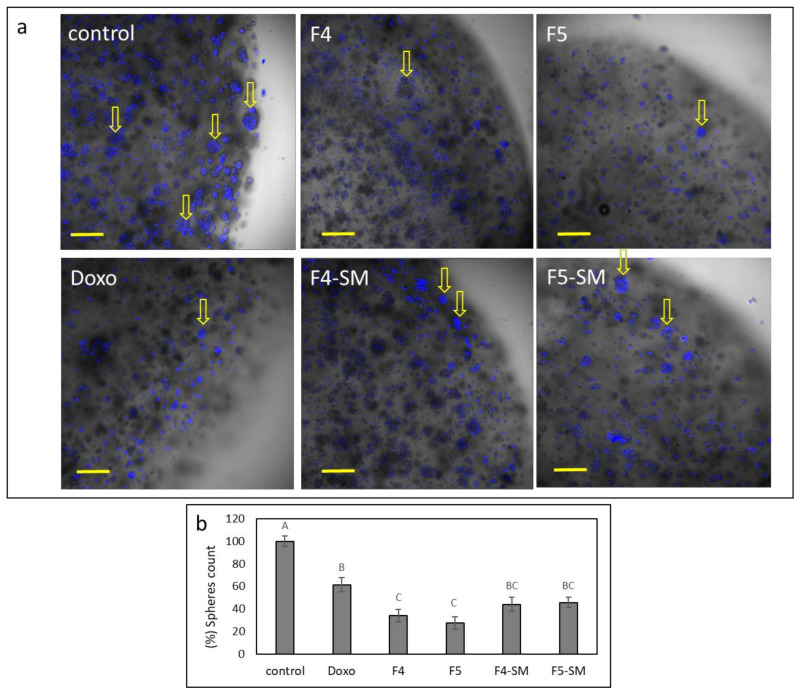 PMC8038598 – cancers-13-01720-f011