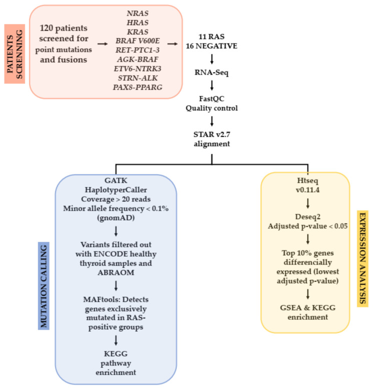 PMC8151534 – cancers-13-02306-f001