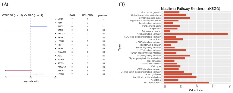 PMC8151534 – cancers-13-02306-f002