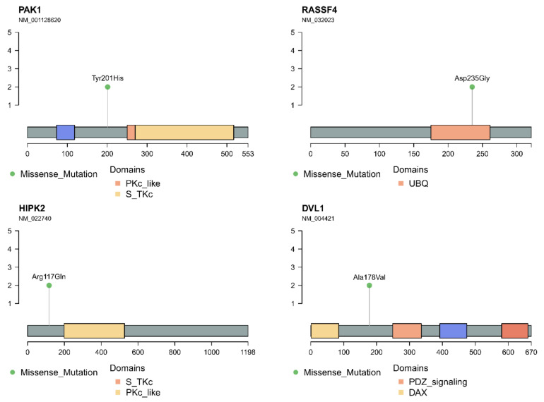 PMC8151534 – cancers-13-02306-f003
