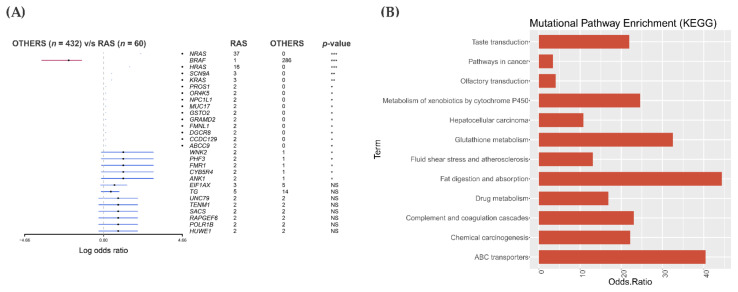 PMC8151534 – cancers-13-02306-f004