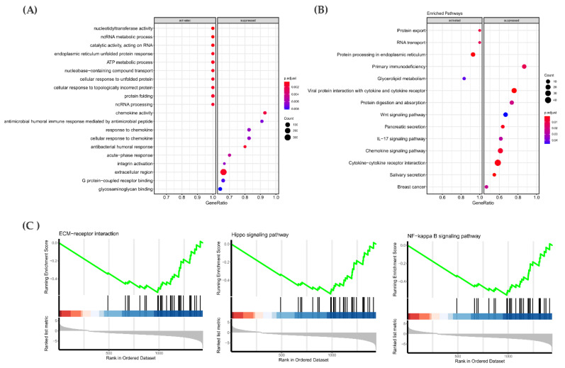 PMC8151534 – cancers-13-02306-f006