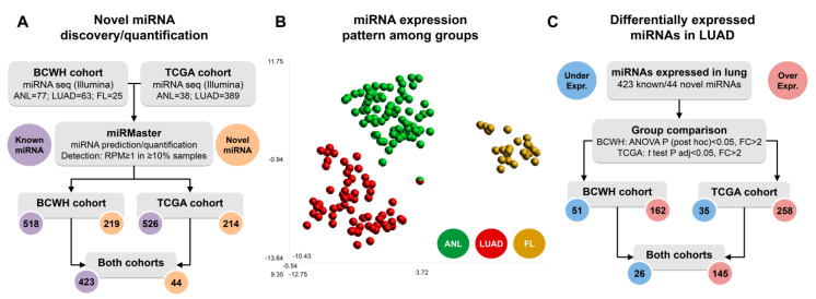 PMC8199175 – cancers-13-02686-f001