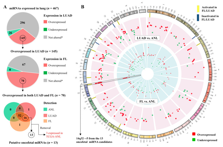 PMC8199175 – cancers-13-02686-f002