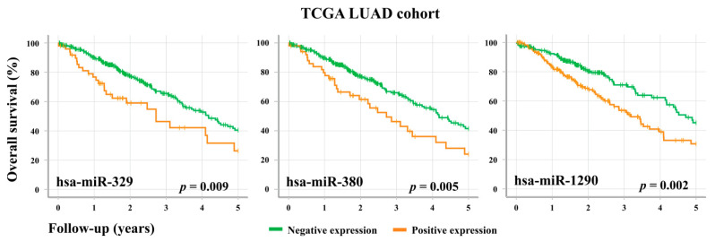 PMC8199175 – cancers-13-02686-f004