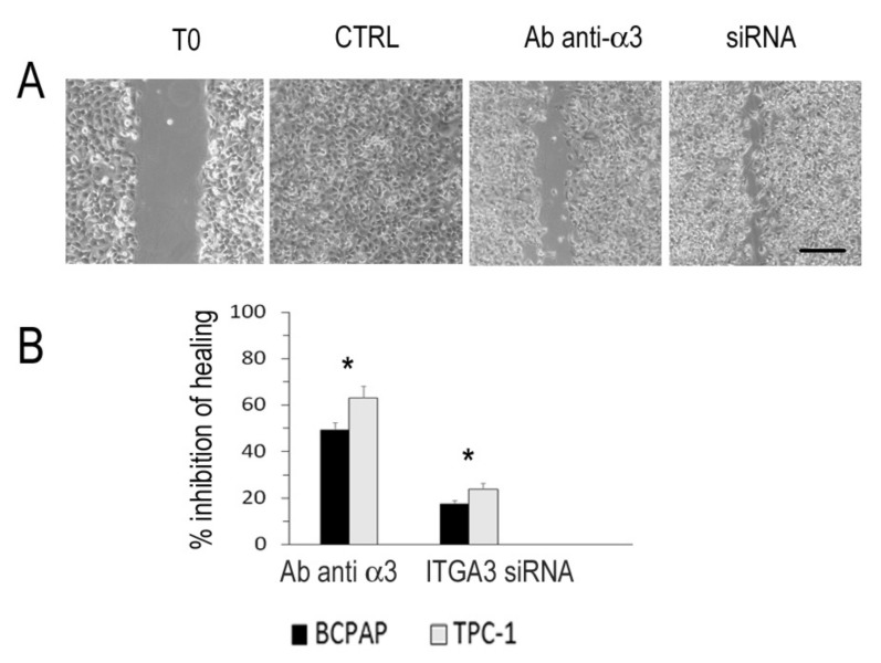 PMC8230752 – cancers-13-02937-f006