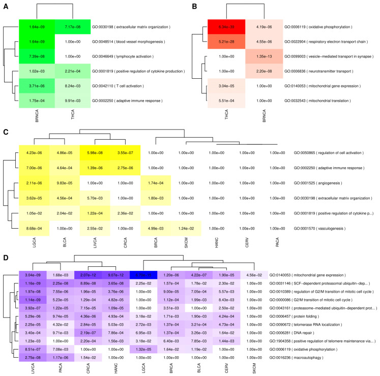 PMC8232649 – cancers-13-02990-f002