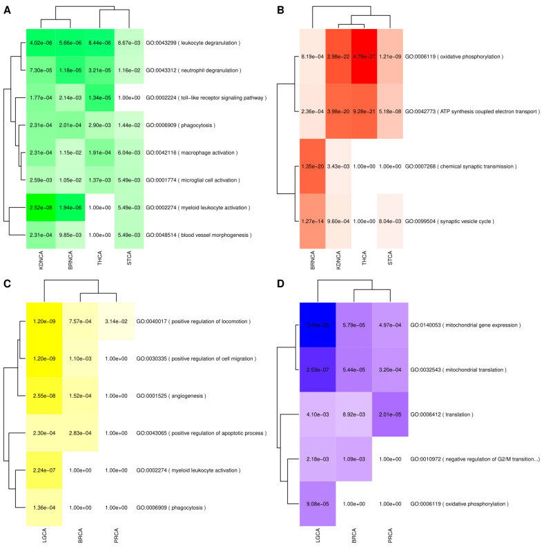 PMC8232649 – cancers-13-02990-f004