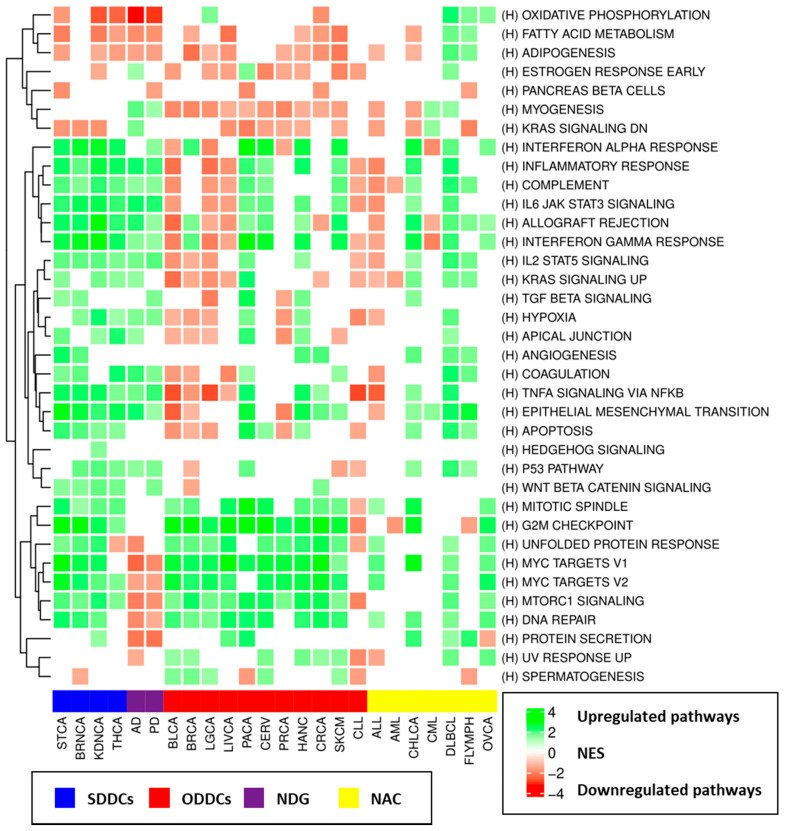 PMC8232649 – cancers-13-02990-f005
