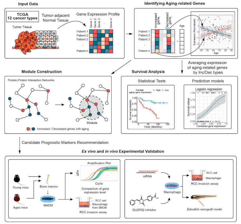 PMC8234889 – cancers-13-03045-f001